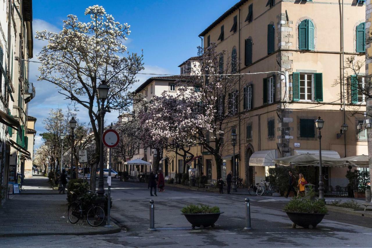 Casa Sophie Apartment