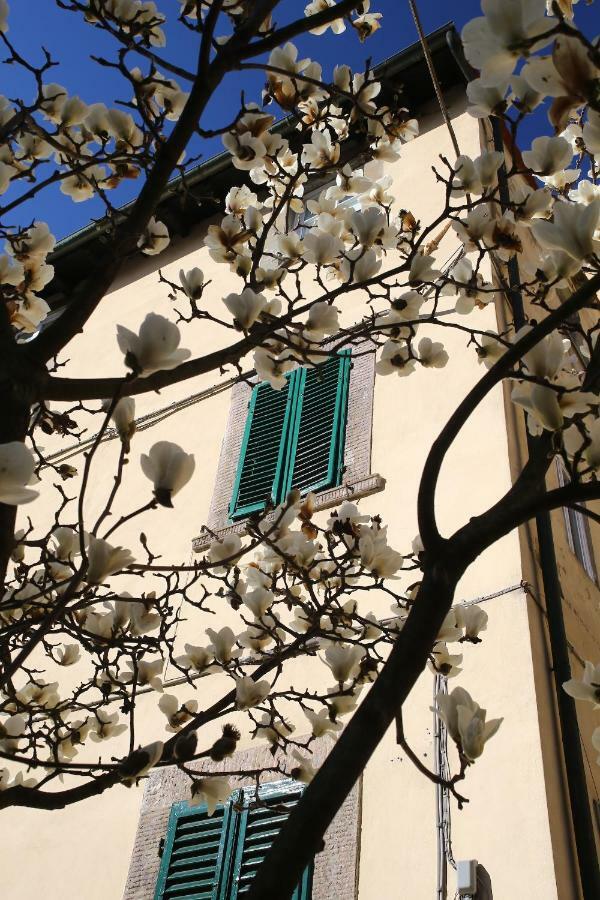 Casa Sophie Apartment Lucca